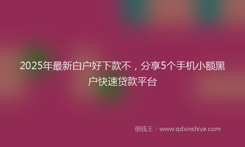 2025年最新白户好下款不，分享5个手机小额黑户快速贷款平台