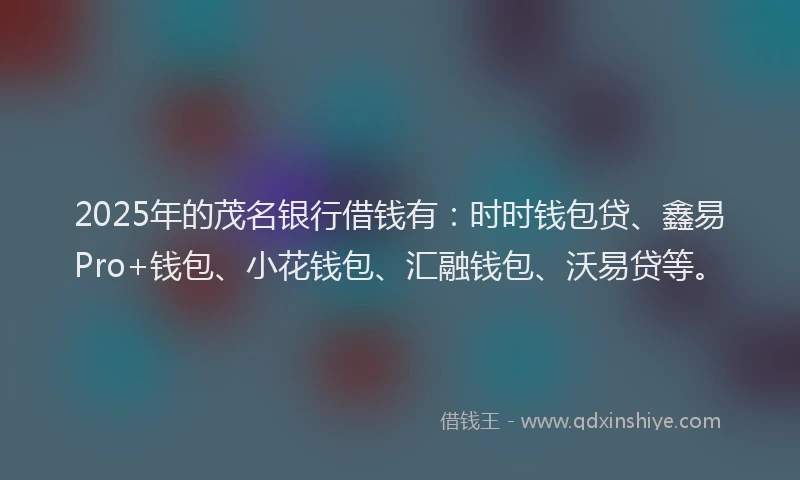 2025年的茂名银行借钱有：时时钱包贷、鑫易Pro+钱包、小花钱包、汇融钱包、沃易贷等。