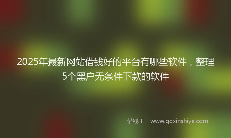 2025年最新网站借钱好的平台有哪些软件，整理5个黑户无条件下款的软件
