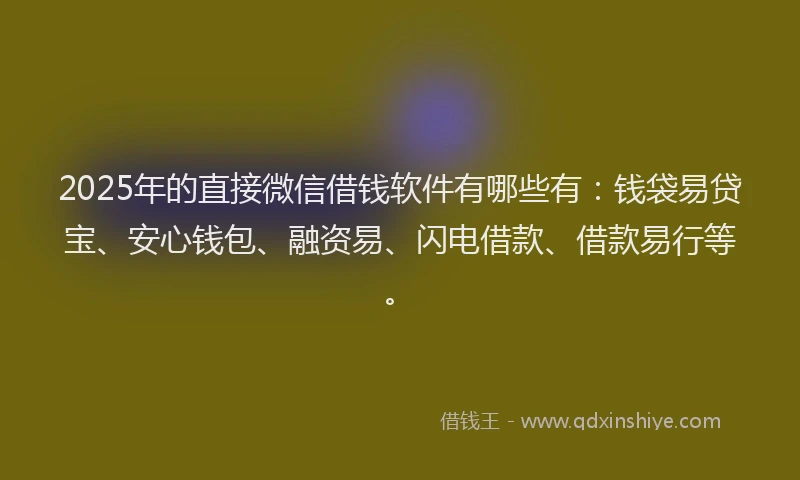 2025年的直接微信借钱软件有哪些有:钱袋易贷宝、安心钱包、融资易、闪电借款、借款易行等。