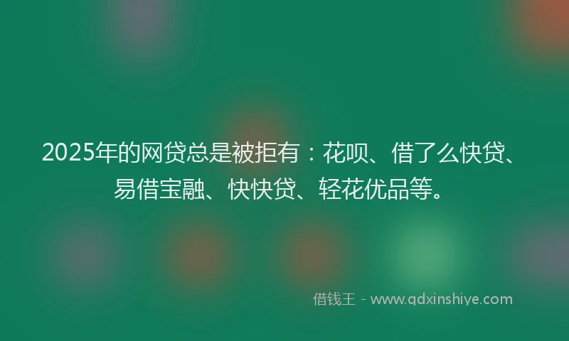 2025年的网贷总是被拒有：花呗、借了么快贷、易借宝融、快快贷、轻花优品等。