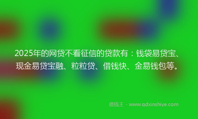 2025年的网贷不看征信的贷款有：钱袋易贷宝、现金易贷宝融、粒粒贷、借钱快、金易钱包等。
