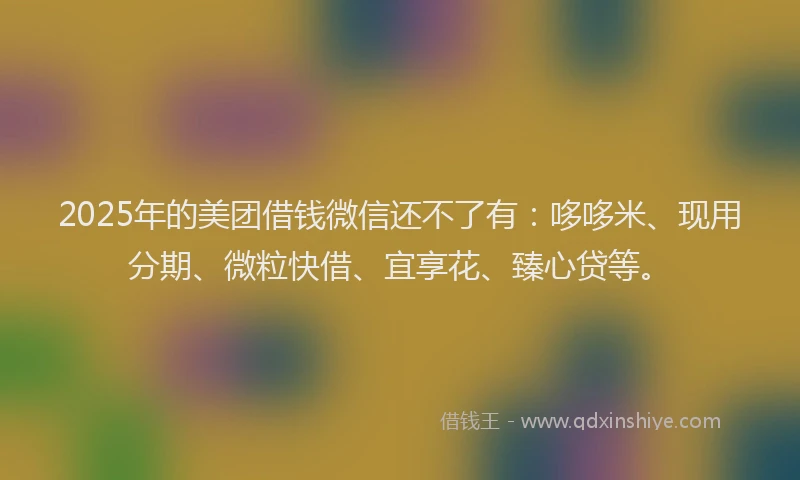 2025年的美团借钱微信还不了有：哆哆米、现用分期、微粒快借、宜享花、臻心贷等。
