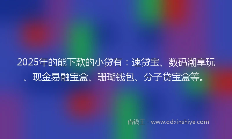 2025年的能下款的小贷有：速贷宝、数码潮享玩、现金易融宝盒、珊瑚钱包、分子贷宝盒等。