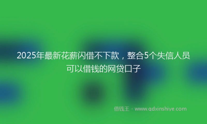 2025年最新花薪闪借不下款，整合5个失信人员可以借钱的网贷口子