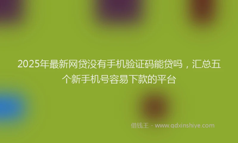 2025年最新网贷没有手机验证码能贷吗，汇总五个新手机号容易下款的平台