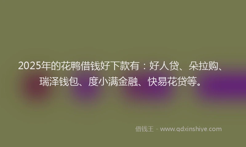 2025年的花鸭借钱好下款有：好人贷、朵拉购、瑞泽钱包、度小满金融、快易花贷等。