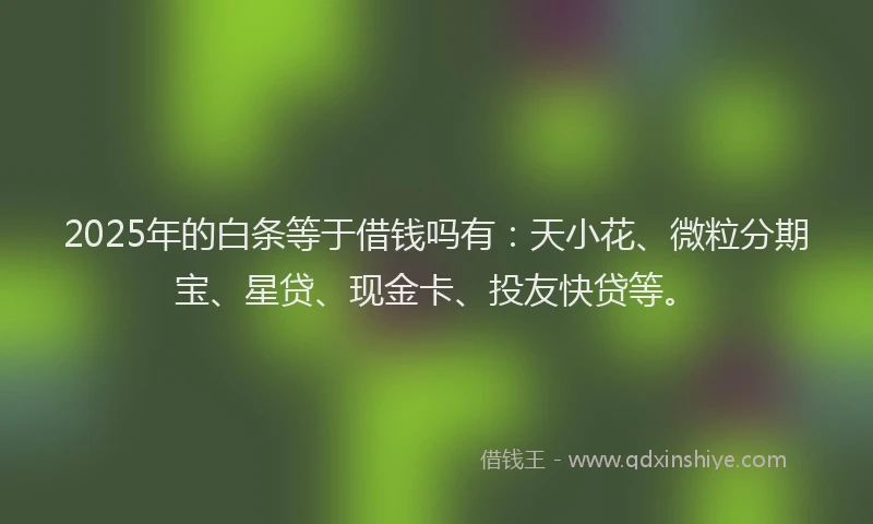 2025年的白条等于借钱吗有：天小花、微粒分期宝、星贷、现金卡、投友快贷等。