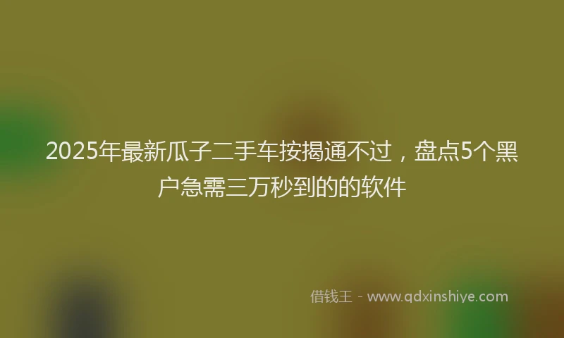 2025年最新瓜子二手车按揭通不过，盘点5个黑户急需三万秒到的的软件
