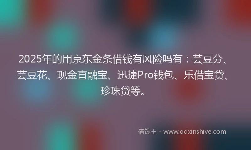 2025年的用京东金条借钱有风险吗有：芸豆分、芸豆花、现金直融宝、迅捷Pro钱包、乐借宝贷、珍珠贷等。