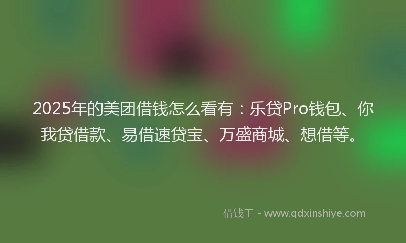2025年的美团借钱怎么看有：乐贷Pro钱包、你我贷借款、易借速贷宝、万盛商城、想借等。