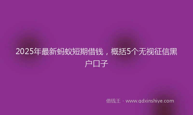 2025年最新蚂蚁短期借钱，概括5个无视征信黑户口子