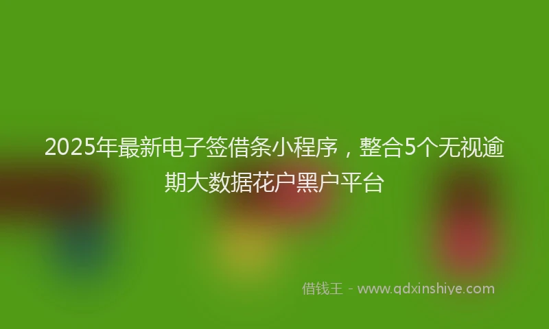2025年最新电子签借条小程序，整合5个无视逾期大数据花户黑户平台
