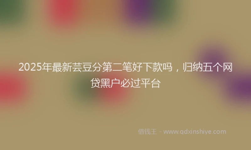 2025年最新芸豆分第二笔好下款吗，归纳五个网贷黑户必过平台