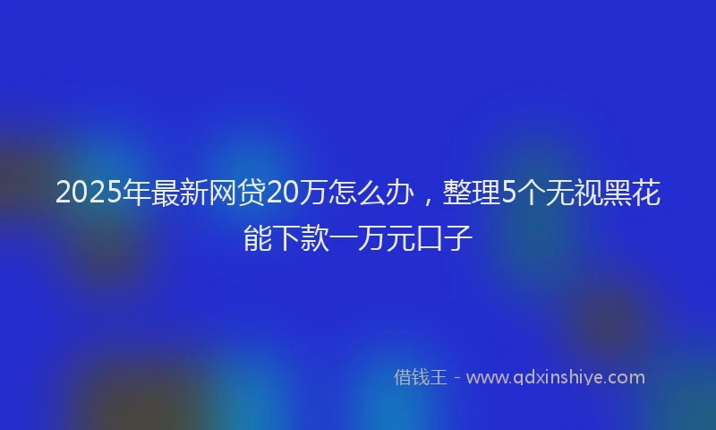 2025年最新网贷20万怎么办，整理5个无视黑花能下款一万元口子