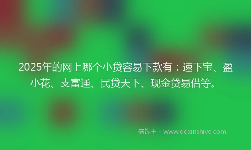2025年的网上哪个小贷容易下款有：速下宝、盈小花、支富通、民贷天下、现金贷易借等。