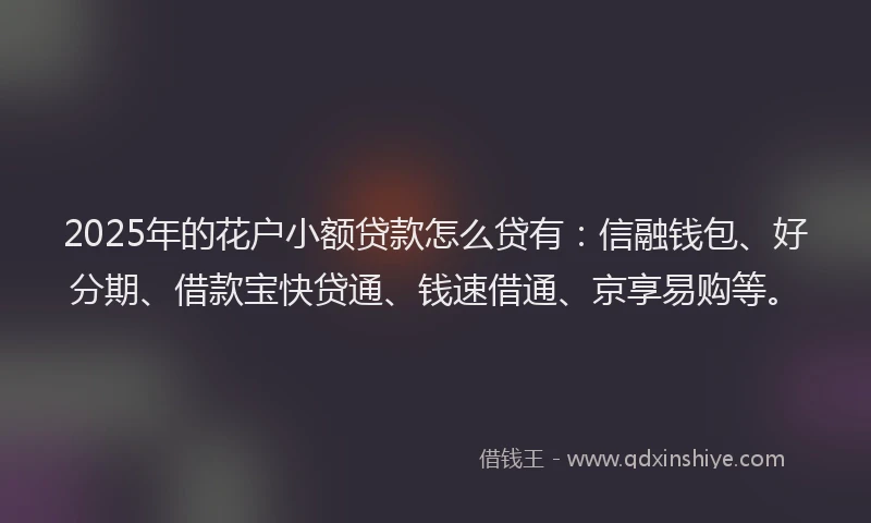 2025年的花户小额贷款怎么贷有：信融钱包、好分期、借款宝快贷通、钱速借通、京享易购等。