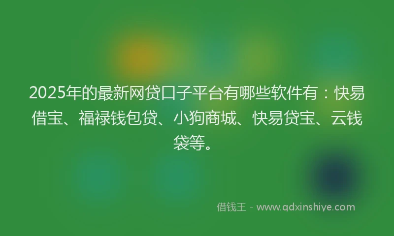 2025年的最新网贷口子平台有哪些软件有：快易借宝、福禄钱包贷、小狗商城、快易贷宝、云钱袋等。