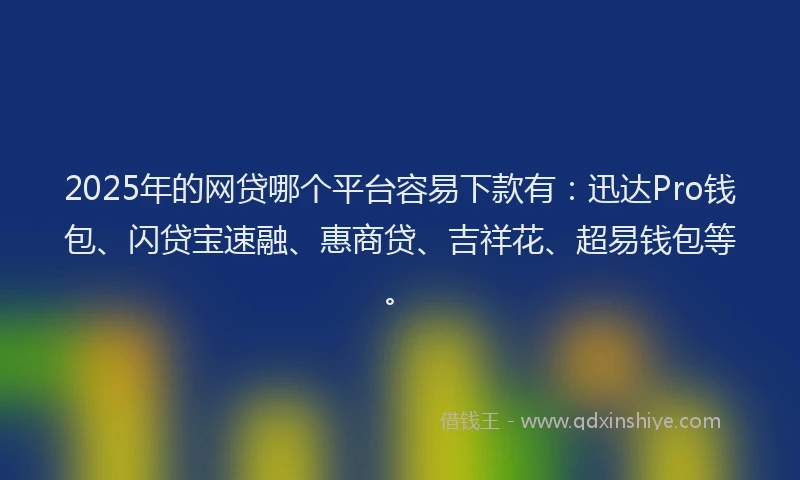 2025年的网贷哪个平台容易下款有：迅达Pro钱包、闪贷宝速融、惠商贷、吉祥花、超易钱包等。