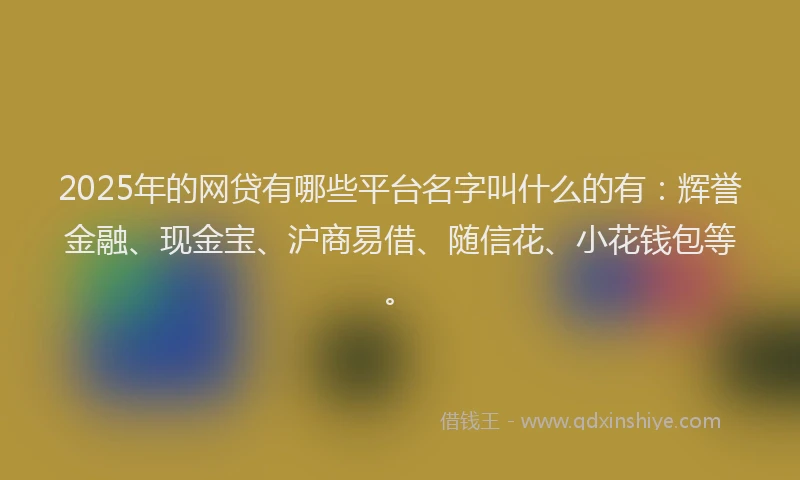 2025年的网贷有哪些平台名字叫什么的有：辉誉金融、现金宝、沪商易借、随信花、小花钱包等。