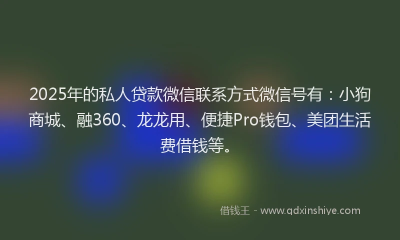 2025年的私人贷款微信联系方式微信号有：小狗商城、融360、龙龙用、便捷Pro钱包、美团生活费借钱等。