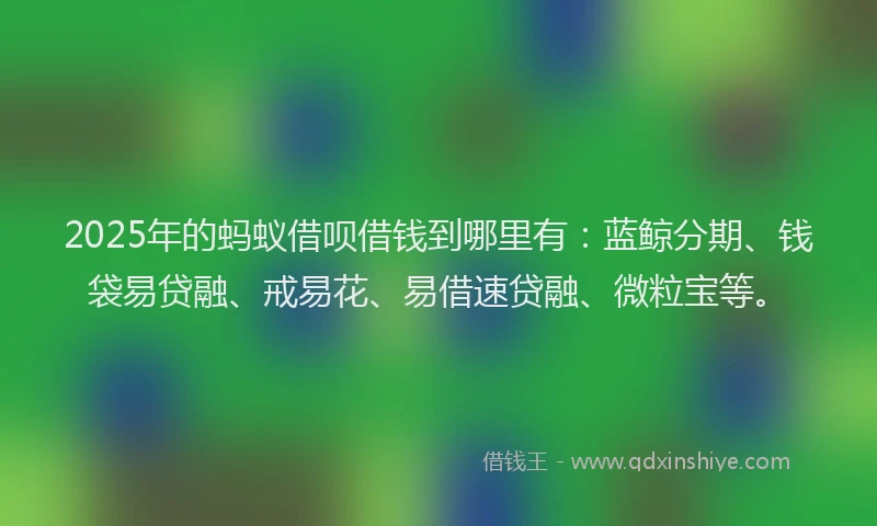 2025年的蚂蚁借呗借钱到哪里有：蓝鲸分期、钱袋易贷融、戒易花、易借速贷融、微粒宝等。
