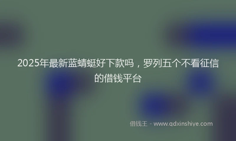 2025年最新蓝蜻蜓好下款吗，罗列五个不看征信的借钱平台