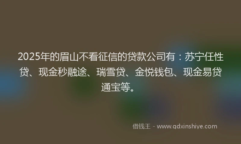 2025年的眉山不看征信的贷款公司有：苏宁任性贷、现金秒融途、瑞雪贷、金悦钱包、现金易贷通宝等。