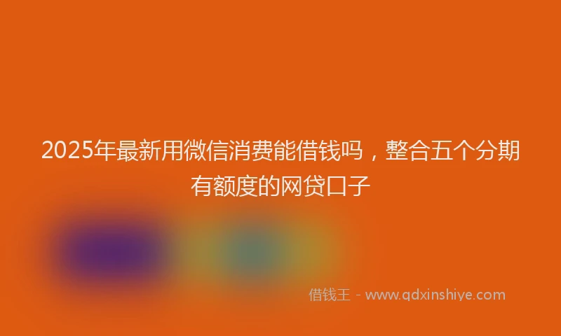 2025年最新用微信消费能借钱吗，整合五个分期有额度的网贷口子