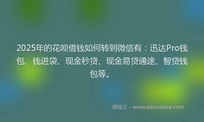 2025年的花呗借钱如何转到微信有：迅达Pro钱包、钱进袋、现金秒贷、现金易贷通途、智贷钱包等。