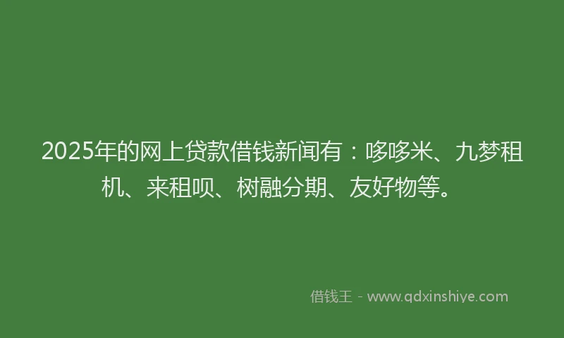 2025年的网上贷款借钱新闻有：哆哆米、九梦租机、来租呗、树融分期、友好物等。