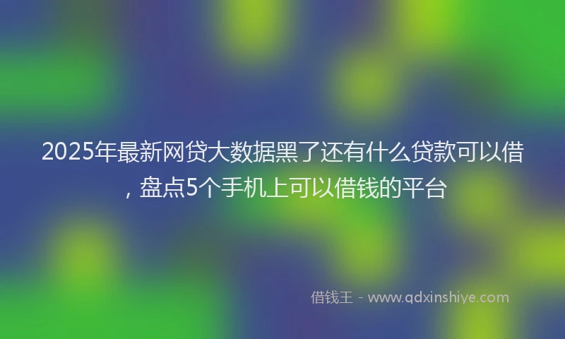 2025年最新网贷大数据黑了还有什么贷款可以借，盘点5个手机上可以借钱的平台
