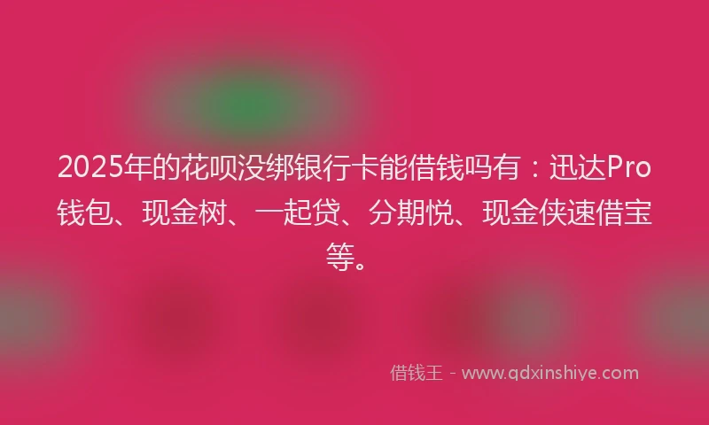 2025年的花呗没绑银行卡能借钱吗有：迅达Pro钱包、现金树、一起贷、分期悦、现金侠速借宝等。