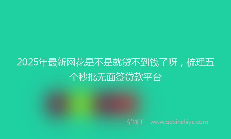 2025年最新网花是不是就贷不到钱了呀，梳理五个秒批无面签贷款平台