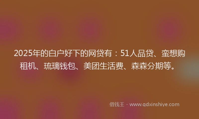 2025年的白户好下的网贷有：51人品贷、蛮想购租机、琉璃钱包、美团生活费、森森分期等。