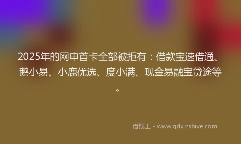 2025年的网申首卡全部被拒有：借款宝速借通、鹅小易、小鹿优选、度小满、现金易融宝贷途等。