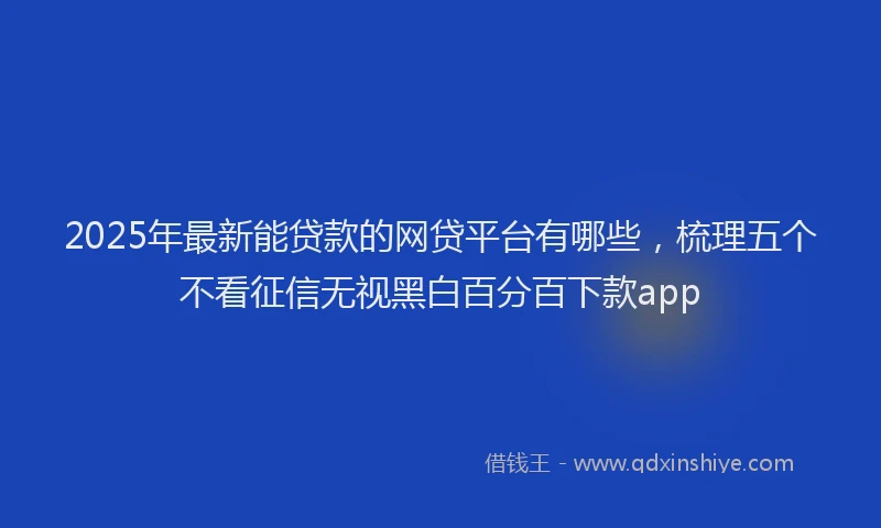 2025年最新能贷款的网贷平台有哪些，梳理五个不看征信无视黑白百分百下款app