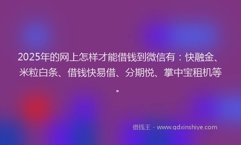 2025年的网上怎样才能借钱到微信有：快融金、米粒白条、借钱快易借、分期悦、掌中宝租机等。