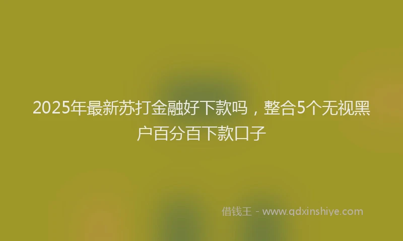 2025年最新苏打金融好下款吗，整合5个无视黑户百分百下款口子