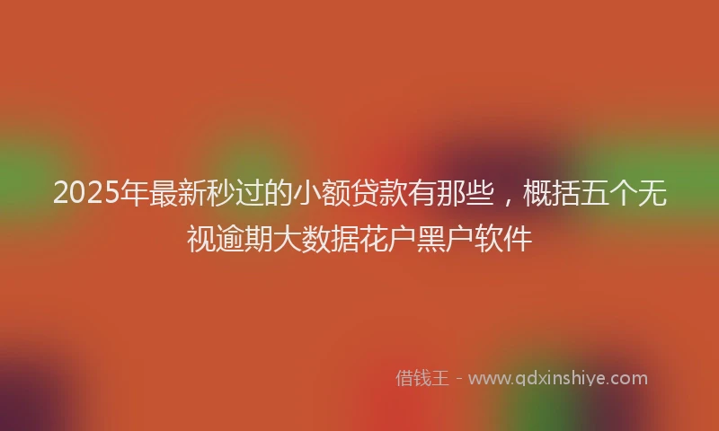 2025年最新秒过的小额贷款有那些，概括五个无视逾期大数据花户黑户软件