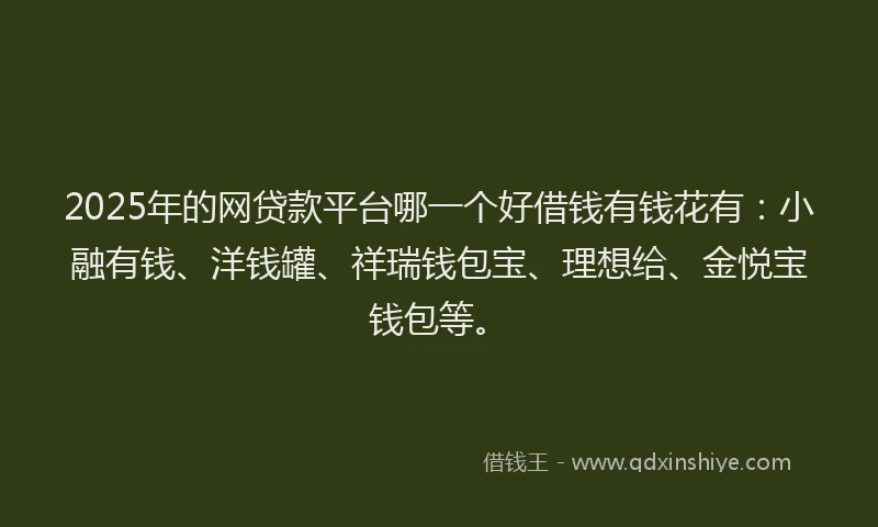 2025年的网贷款平台哪一个好借钱有钱花有：小融有钱、洋钱罐、祥瑞钱包宝、理想给、金悦宝钱包等。