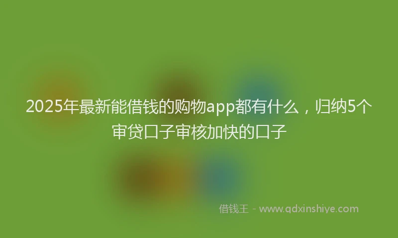 2025年最新能借钱的购物app都有什么，归纳5个审贷口子审核加快的口子