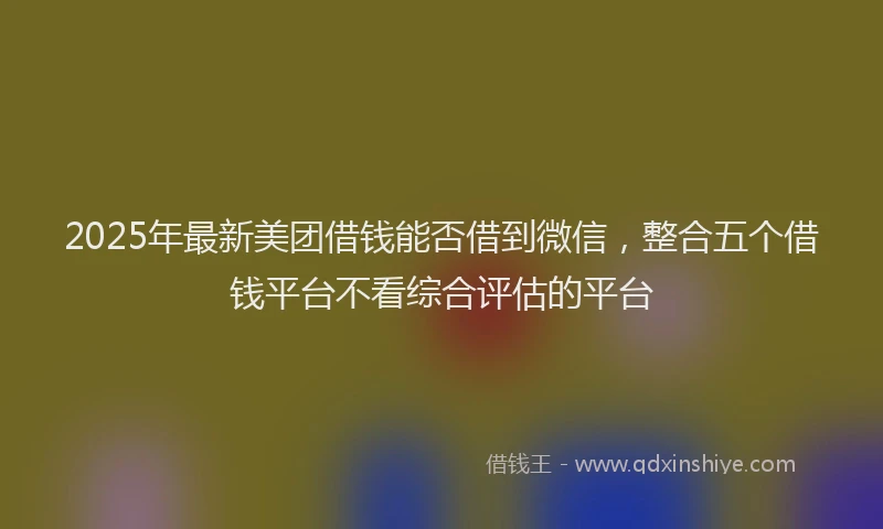 2025年最新美团借钱能否借到微信，整合五个借钱平台不看综合评估的平台