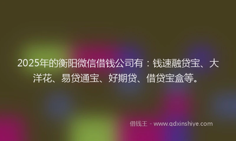 2025年的衡阳微信借钱公司有：钱速融贷宝、大洋花、易贷通宝、好期贷、借贷宝盒等。