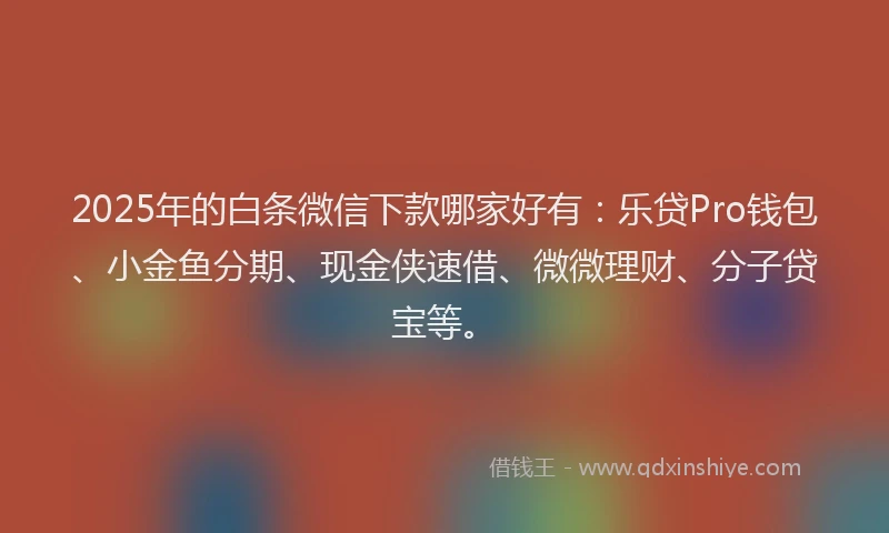 2025年的白条微信下款哪家好有：乐贷Pro钱包、小金鱼分期、现金侠速借、微微理财、分子贷宝等。