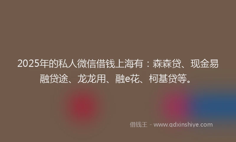 2025年的私人微信借钱上海有：森森贷、现金易融贷途、龙龙用、融e花、柯基贷等。
