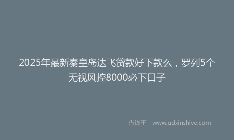 2025年最新秦皇岛达飞贷款好下款么，罗列5个无视风控8000必下口子