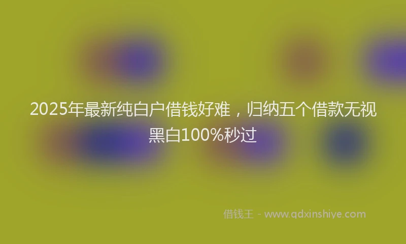 2025年最新纯白户借钱好难，归纳五个借款无视黑白100%秒过