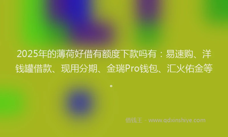 2025年的薄荷好借有额度下款吗有：易速购、洋钱罐借款、现用分期、金瑞Pro钱包、汇火佑金等。