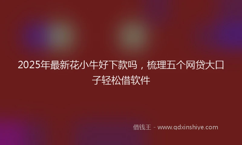 2025年最新花小牛好下款吗，梳理五个网贷大口子轻松借软件